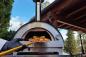 Preview: Clementi gas pizza oven Clementino