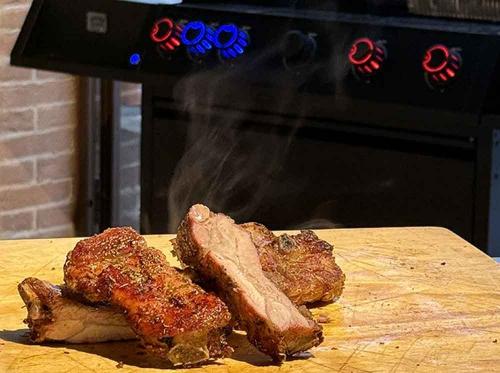 Clementi gas bbq Terra 5