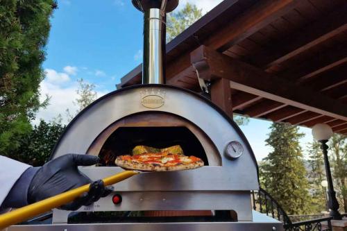 Clementi gas pizza oven Clementino