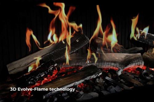 Preview: DRU Virtuo 100 Evolve flames