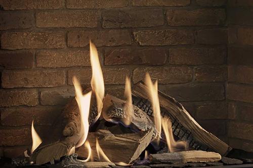 Preview: Truflame-Burner