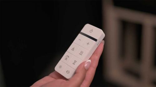 Dimplex Ignite Ultra RC