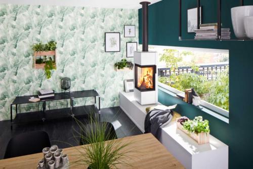 Spartherm Stove Piko S