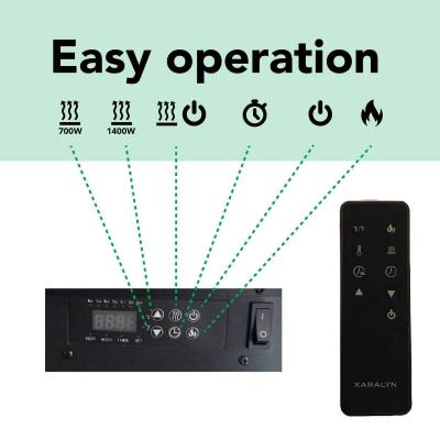 Xaralyn Elektrowandkamin Disegno XL120