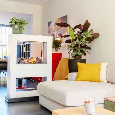 Preview: Electric fireplace Xaralyn Lasize Optimyst