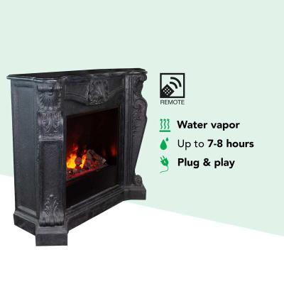 Electric fireplace Xaralyn Louis Optimyst